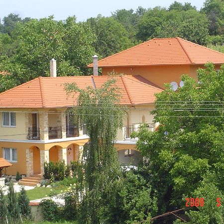 Janus Apartman Sárvár 외부 사진